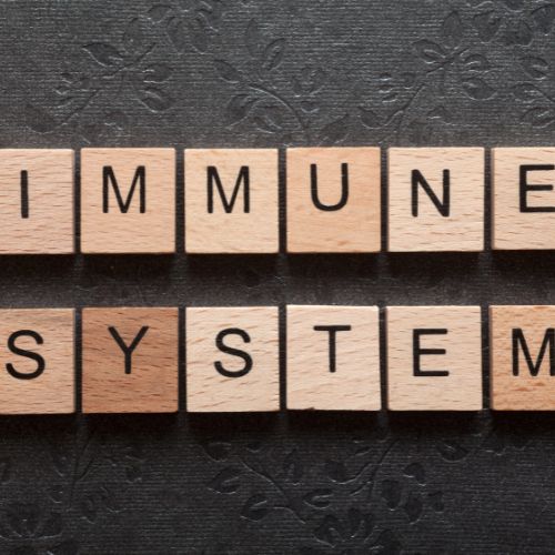 foods to improve your immune system article